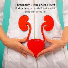 Carica l'immagine nel visualizzatore di Gallery, ViaCist® FORTE Integratore nutraceutico per la salute delle vie urinarie e cistiti