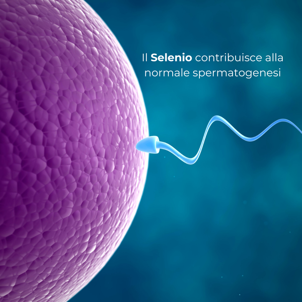 GoFertil® Integratore nutraceutico per fertilità maschile, oligospermia e astenospermia
