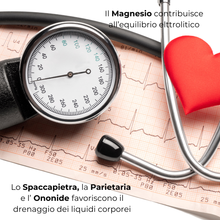 Carica l&#39;immagine nel visualizzatore di Gallery, CalcoSin® ULTRA Integratore nutraceutico per Calcolosi Renale