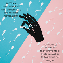 Carica l&#39;immagine nel visualizzatore di Gallery, GoFertil® Integratore nutraceutico per fertilità maschile, oligospermia e astenospermia