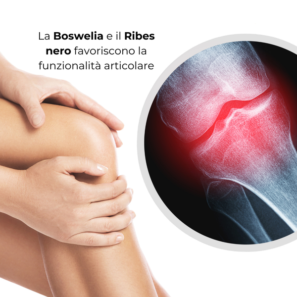 SinFlogo® Oro