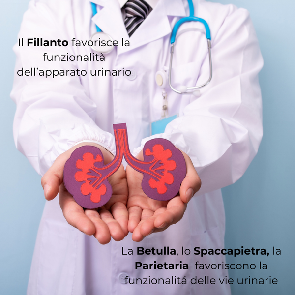 CalcoSin® ULTRA Integratore nutraceutico per Calcolosi Renale