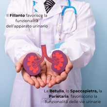 Carica l&#39;immagine nel visualizzatore di Gallery, CalcoSin® ULTRA Integratore nutraceutico per Calcolosi Renale