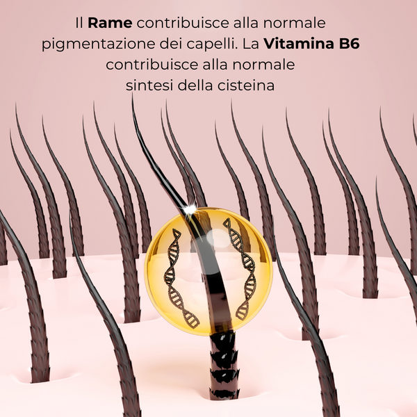 RevePil Forte®