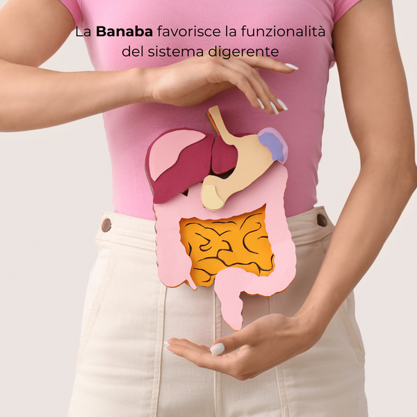 RimeCol® Plus
