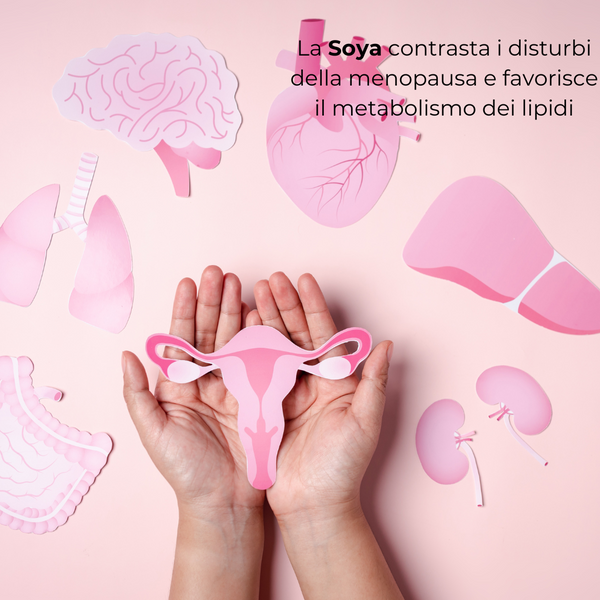NoDrops®